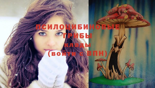 ешки Кинешма