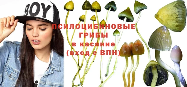 ешки Кинешма