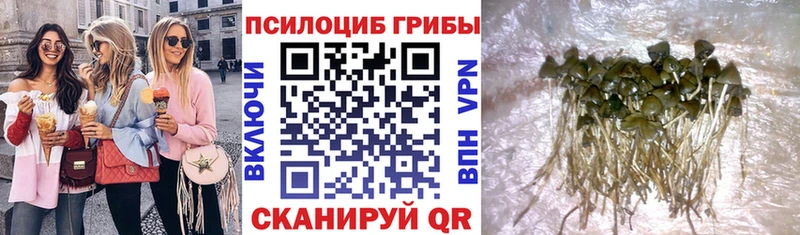 Псилоцибиновые грибы MAGIC MUSHROOMS  Купить закладки  Севастополь 