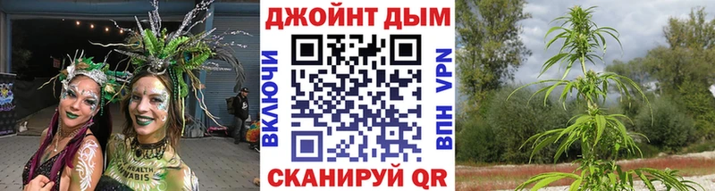 Купить  Севастополь  Шишки марихуана гибрид 